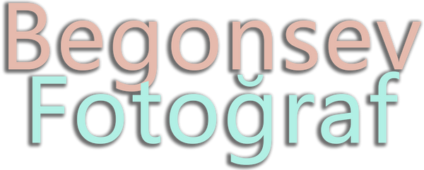 Begonsev